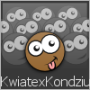 KwiatexKondziu
