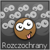 Rozczochrany