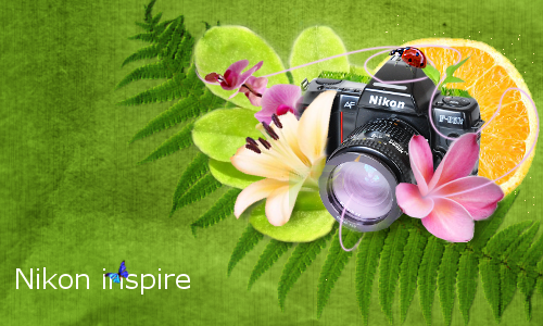 Nikon inspire Nikon inspire
