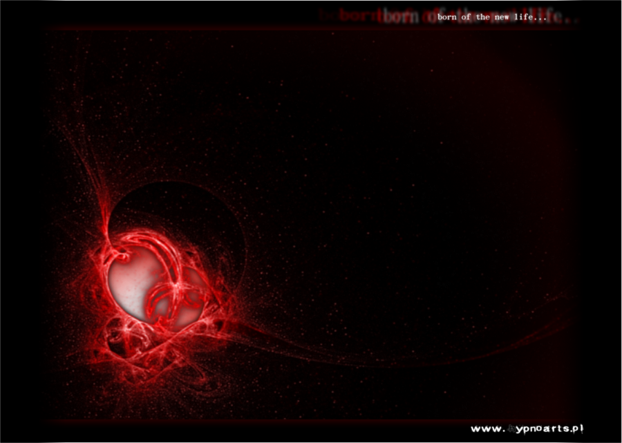 born of the new life born of the new life