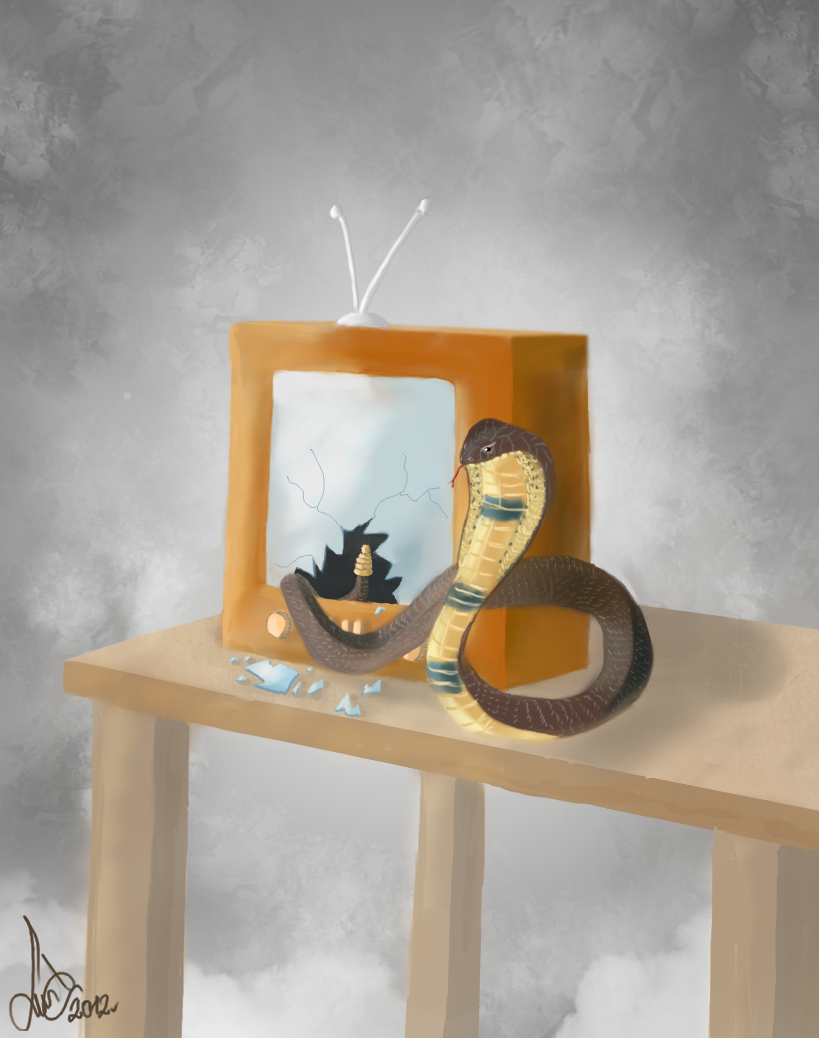 " Telewizja kłamie " " Telewizja kłamie "