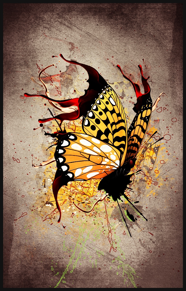 ButterSplashFly ButterSplashFly