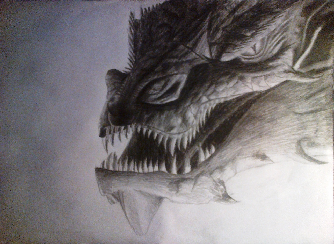Smaug Smaug
