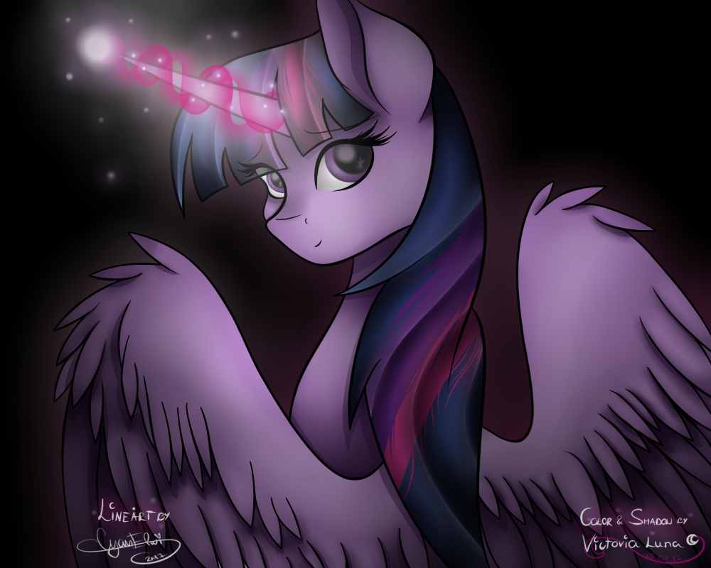 Princess Twilight Sparkle Princess Twilight Sparkle